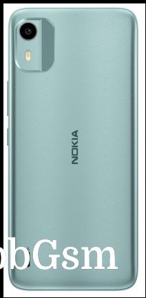 Nokia C12 in Light Mint