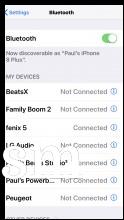 iOS visible within Bluetooth Settings