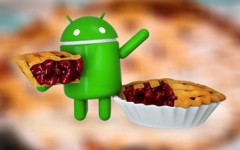 October Android distribution: Oreo grows and still no Pie