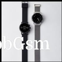 Skagen Falster 2