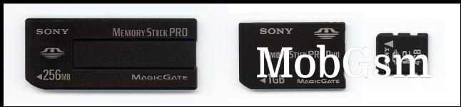 Memory Stick (<a href='https://commons.wikimedia.org/wiki/File:MSst_duo_m2.jpg' target='_blank'>image credit</a>)