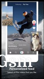 The TikTok app