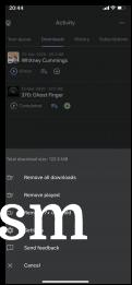 Activity tab
