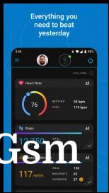 Garmin Connect