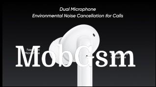 Environmental Noise Cancellation