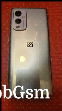 OnePlus 9 5G from the back