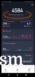 Amazfit Stratos 3 data and settings in Zepp for Android