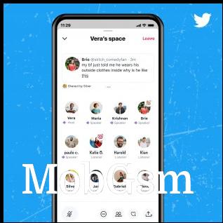 Viewing a Twitter Space
