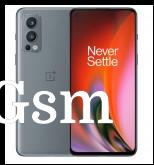 OnePlus Nord 2 renders: Gray Sierra