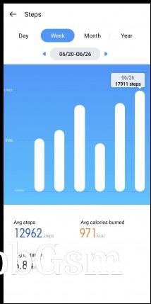 Weekly steps counting . Exercise logs . Sample workout data