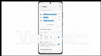 One UI 4 privacy options (image: Samsung)