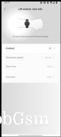 Raise to wake settings