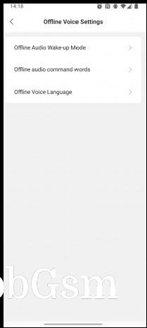 The offline voice assistant can handle a variety of actions