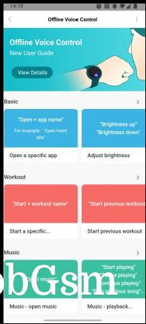 The offline voice assistant can handle a variety of actions