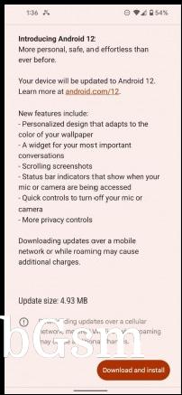 OTA update on Pixel 5 running latest build of Android 12 Beta