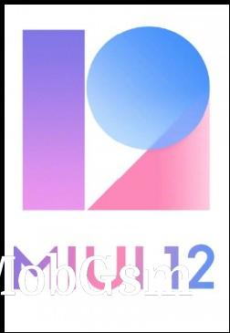 The old MIUI 12 logo