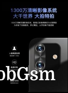 13 MP camera on the back + 2 MP depth sensor