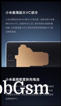 Xiaomi 12 cooling details (iamges: Xiaomi)