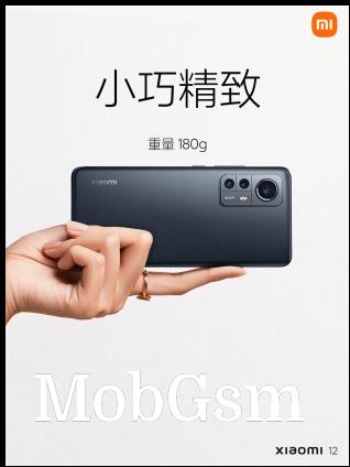 Xiaomi 12 back design (images: Xiaomi)