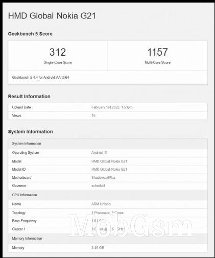 Nokia G21 Geekbench scorecard