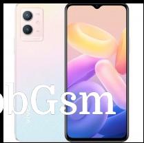 vivo Y33s 5G color options