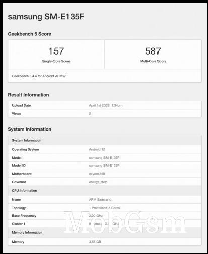 Samsung Galaxy F13 Geekbench scorecard