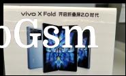 vivo X Fold marketing materials leak revealing more specs