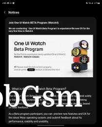 One UI Watch beta program is now live in the US for Galaxy Watch4 and Galaxy Watch4 Classic