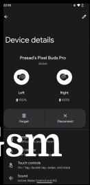 Pixel Buds software