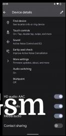 Pixel Buds software