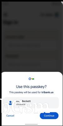 Using a passkey to sign in looks the same as using a stored password