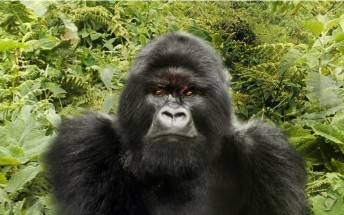 Corning confirms that the Galaxy S23 series will pioneer Gorilla Glass Victus 2