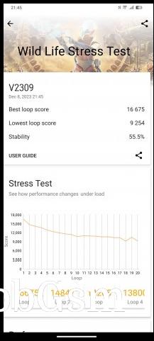 3DMark Wild Life stress test