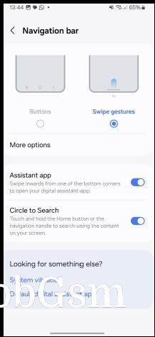 Navigation settings - One UI 6.1 review