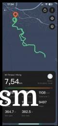 Activity tracking metrics in Mi Fitness app