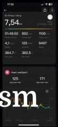 Activity tracking metrics in Mi Fitness app