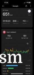 Activity tracking metrics in Mi Fitness app