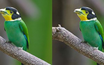 Google's new JPEG image encoder offers higher quality and saves on size and bandwidth
