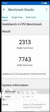 vivo X100s benchmark results