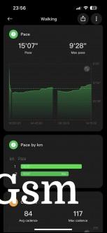 Sample Walking session with GPS tracking and activity metrics