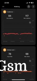 Sample Walking session with GPS tracking and activity metrics