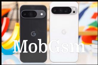 Google Pixel 9 and the Pixel 9 Pro XL