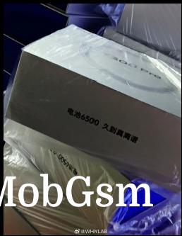 vivo Y300 Pro leaked packaging