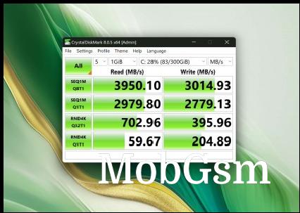 Geekbench 6 and disk speed