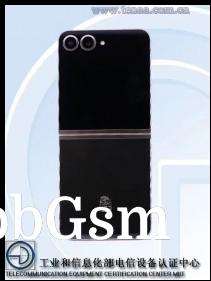 Samsung W25 Flip pictures from TENAA