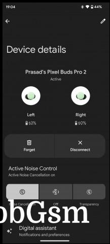 Pixel Buds app