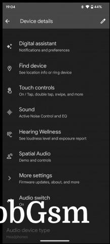 Pixel Buds app