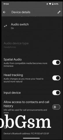 Pixel Buds app