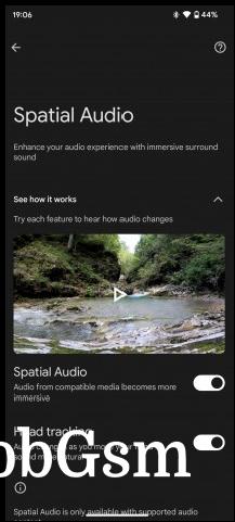 Spatial Audio and other options