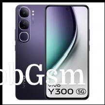 vivo Y300